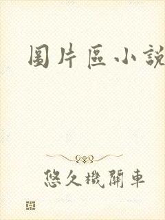 图片区小说区