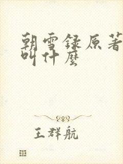 朝雪录原著小说叫什么