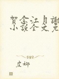 贺念江月谢泊年小说全文免费阅读笔趣阁封面