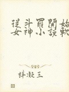 从斗罗开始俘获女神小说软件