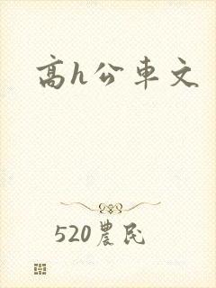 高h公车文