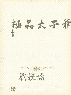 极品太子爷txt