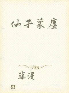 仙子蒙尘封面
