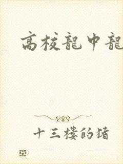 高校龙中龙封面