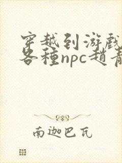 穿越到游戏里和各种npc赵青蔓封面