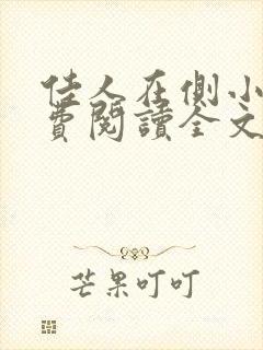 佳人在侧小说免费阅读全文无弹窗
