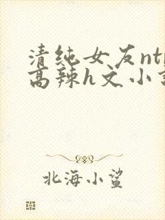 清纯女友ntr高辣h文小说