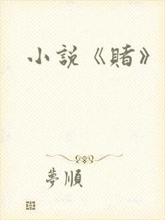 小说《赌》封面
