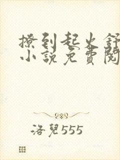 撩到起火舒漾的小说免费阅读全文封面