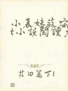 小表妹苏宓txt小说阅读免费