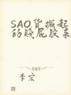 SAO货撅起你的贱屁股来封面