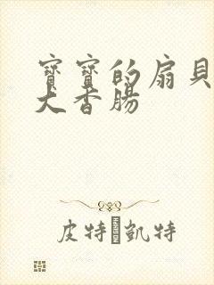 宝宝的扇贝想吃大香肠封面