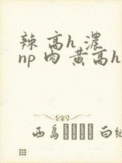 辣 高h 浓 np 肉 黄高h