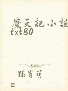 魔天记小说下载txt80