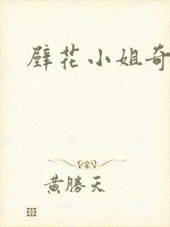 壁花小姐奇遇记封面