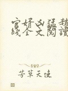 官婿凶猛赵阳在线全文阅读