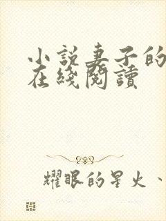 小说妻子的谎言在线阅读