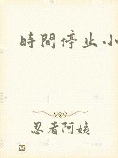 时间停止小说