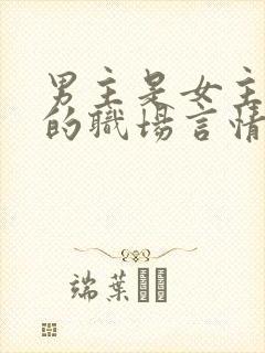 男主是女主上司的职场言情文封面