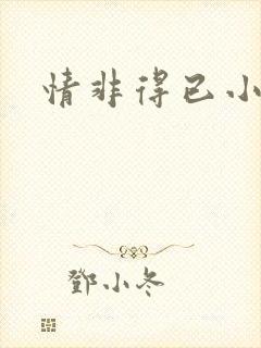 情非得已小说