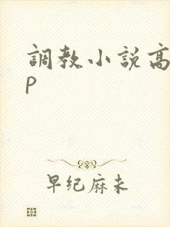 调教小说高hnp