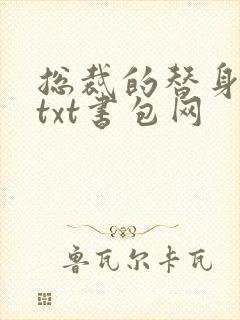 总裁的替身前妻txt书包网封面