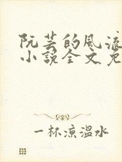 阮芸的风流人生小说全文免费阅读