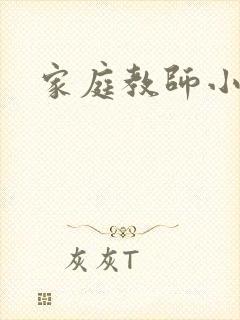 家庭教师小说封面