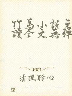 竹马小说免费阅读全文无弹窗