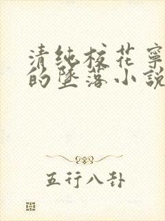 清纯校花宁小小的坠落小说