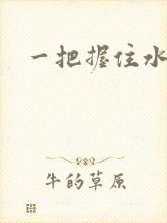 一把握住水蜜桃封面