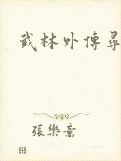 武林外传寻宝封面