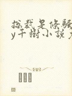 总裁是条骚狗by千树小说免费阅读封面