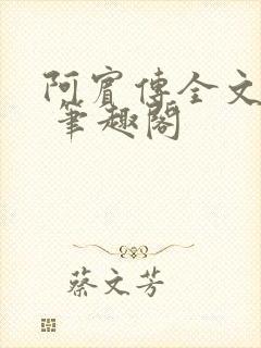 阿宾传全文阅读 笔趣阁