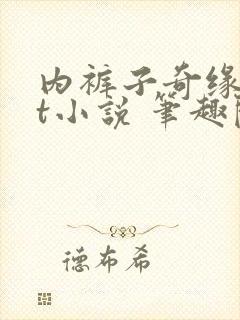 内裤子奇缘txt小说 笔趣阁