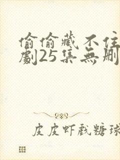 偷偷藏不住电视剧25集无删减
