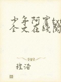 少年阿宾txt全文在线阅读