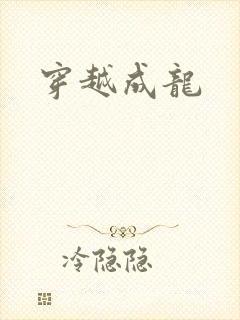 穿越成龙封面