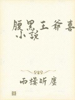 腹黑王爷喜当爹 小说