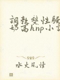 调教双性骚货大奶高hnp小说封面