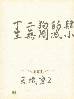 丁二狗的肆意人生无删减小说免费