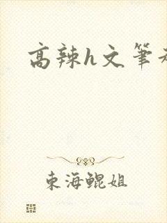 高辣h文笔趣阁