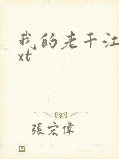 我的老千江湖txt