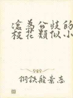 沧为公歧的清纯校花类似小说