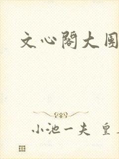 文心阁大团结封面