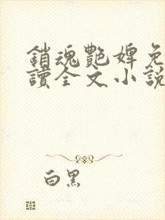 销魂艳婢免费阅读全文小说
