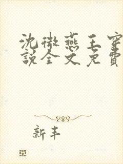 沈微燕王穿越小说全文免费阅读