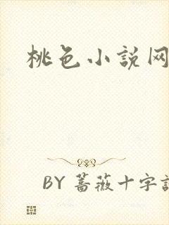 桃色小说网