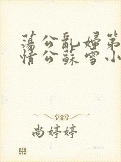 荡公乱妇第1章情公苏雪小说