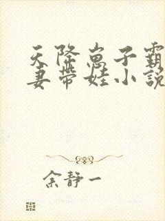 天降崽子霸总追妻带娃小说免费阅读全文封面
